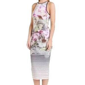 Ted Baker Laya Sleeveless Peony Striped Midi Dress Bodycon sz Large Floral Euro